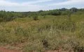 12 Acres Prime School Land for Sale in Thika Greens, Waterfall Country Homes