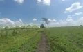 5 Acre Land for Sale in Kisaju